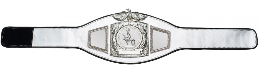 PROEAGLE WRESTLING CHAMPIONSHIP BELT - PROEAGLE/S/WRESTS - AVAILABLE IN 6+ COLOURS